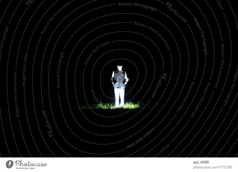 Meadow annealing two Colour photo Exterior shot Copy Space left Copy Space right Copy Space top Copy Space bottom Night Artificial light Light Silhouette