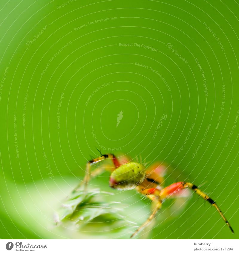 web designer Colour photo Multicoloured Close-up Detail Macro (Extreme close-up) Copy Space left Copy Space right Copy Space top Copy Space middle Contrast