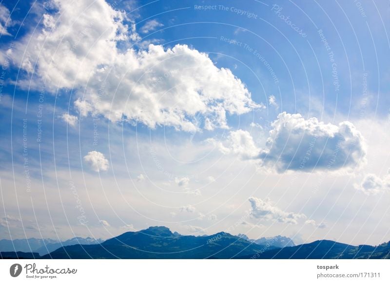 Afternoon in early summer Colour photo Exterior shot Deserted Day Light Contrast Light (Natural Phenomenon) Sunlight Central perspective Panorama (View)