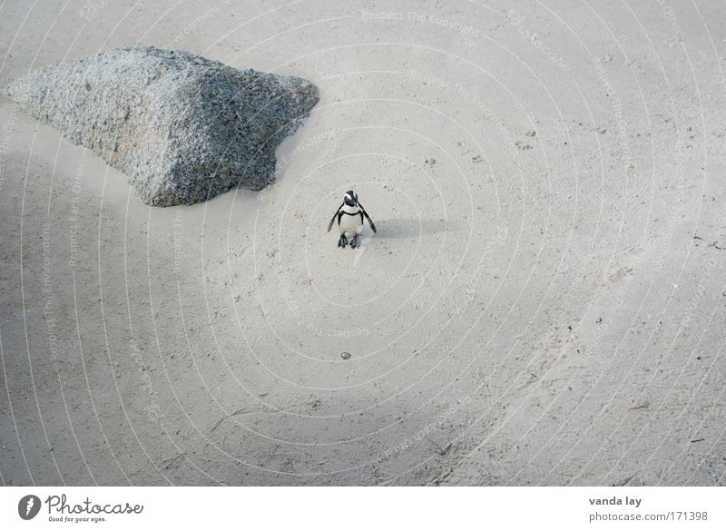 ordered and not collected Colour photo Subdued colour Exterior shot Deserted Copy Space left Copy Space right Copy Space top Copy Space bottom