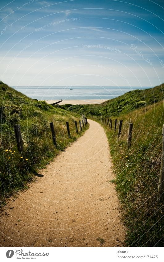 here again Colour photo Exterior shot Deserted Day Contrast Sunlight Vacation & Travel Tourism Trip Far-off places Freedom Summer Summer vacation Beach Ocean