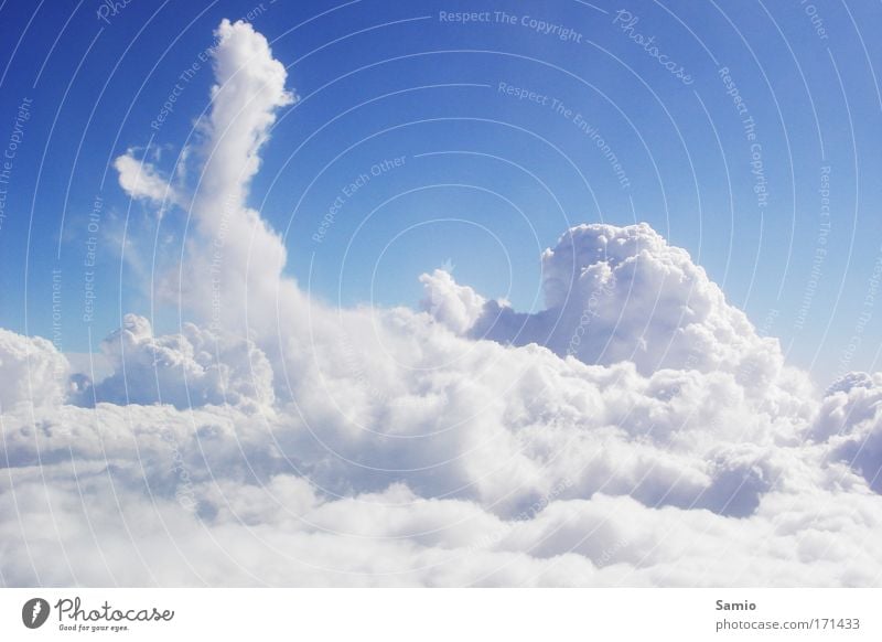 sea of clouds Colour photo Exterior shot Aerial photograph Deserted Copy Space top Day Light Sunlight Central perspective Long shot Air Water Sky Clouds Summer