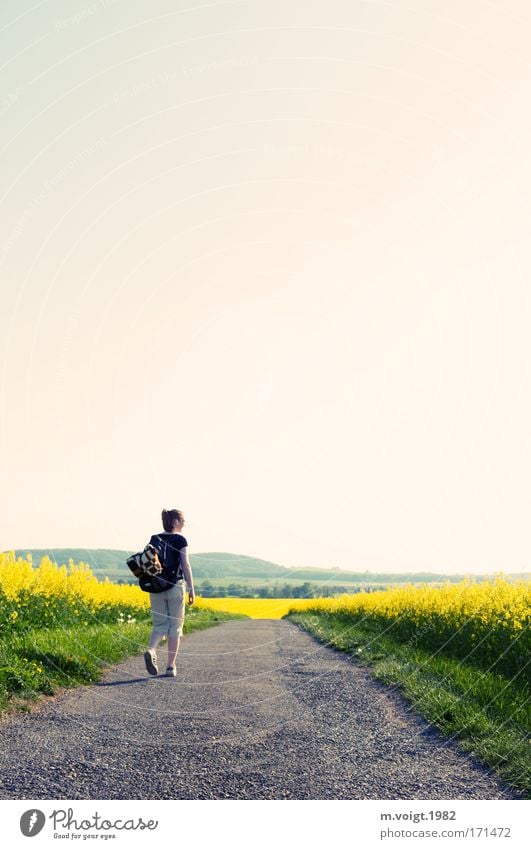 peregrination Colour photo Copy Space top Evening Sunlight Forward To go for a walk Hiking Young woman Youth (Young adults) 1 Human being 18 - 30 years Adults