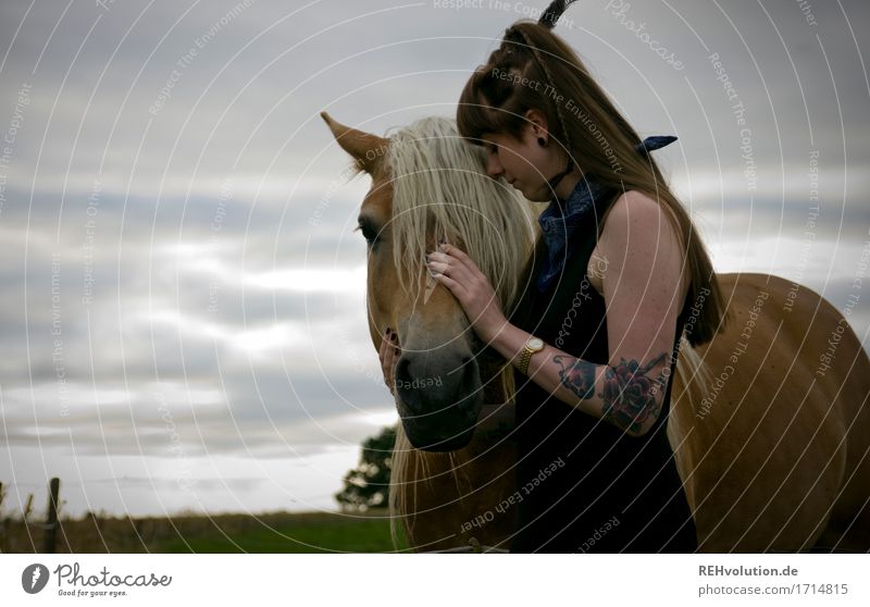 fluffy mane Leisure and hobbies Ride Human being Feminine Young woman Youth (Young adults) 1 18 - 30 years Adults Environment Nature Landscape Meadow Field