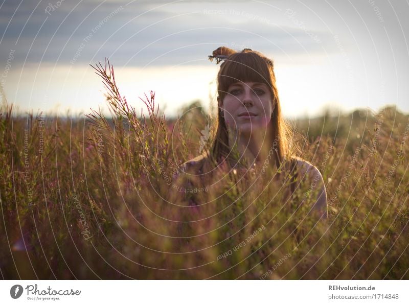 Carina in the evening light. Human being Feminine Young woman Youth (Young adults) Face 1 18 - 30 years Adults Environment Nature Landscape Sky Sun Summer