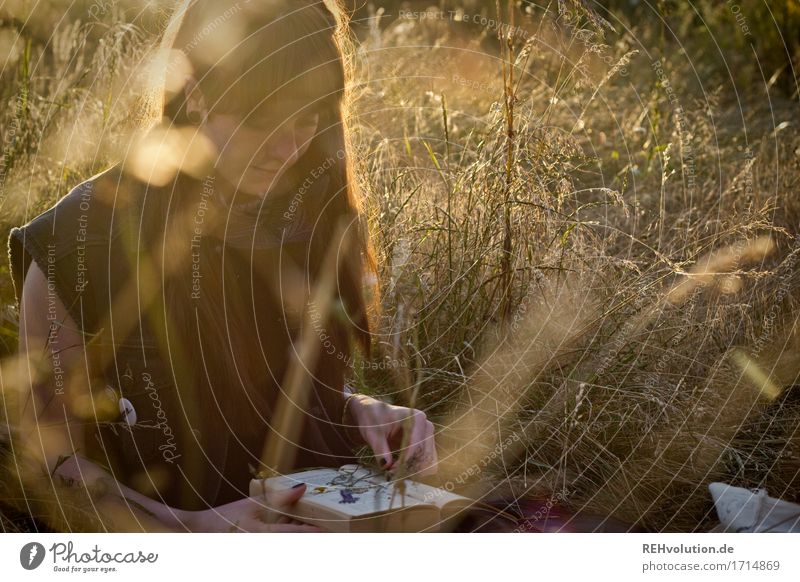 Carina in the evening light. Leisure and hobbies Human being Feminine Young woman Youth (Young adults) Woman Adults 1 18 - 30 years Book Environment Nature