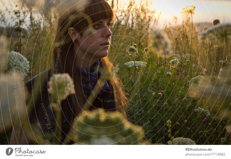 Carina in the evening light. Trip Adventure Human being Feminine Young woman Youth (Young adults) Woman Adults Face 1 18 - 30 years Environment Nature Landscape