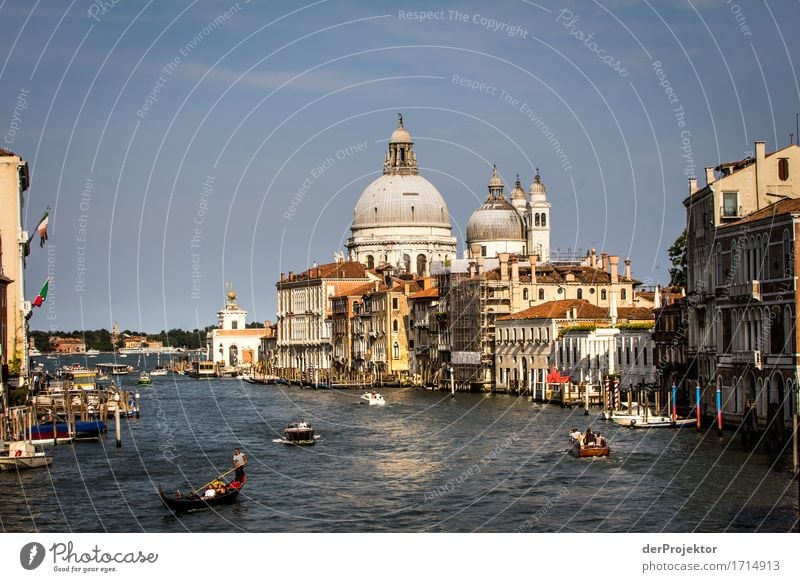 Grand Canal in Venice Vacation & Travel Tourism Trip Sightseeing City trip Cruise Summer vacation Tourist Attraction Landmark Monument Inland navigation