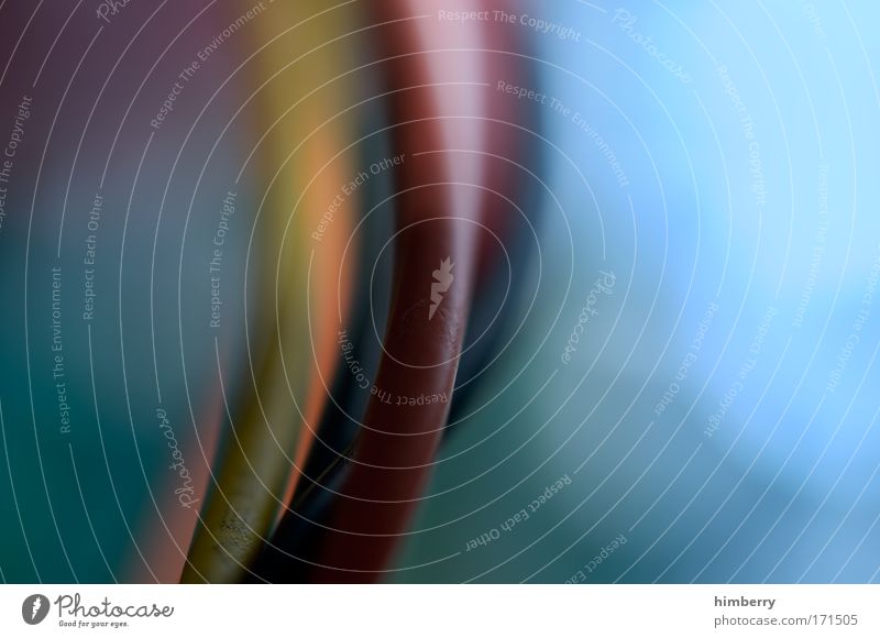 wiring harness dream Colour photo Close-up Detail Macro (Extreme close-up) Experimental Abstract Copy Space left Copy Space right Copy Space top