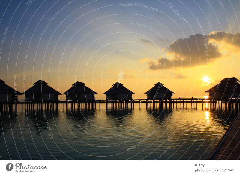 a neverending dream Colour photo Exterior shot Evening Twilight Sunlight Sunbeam Sunrise Sunset Water Sky Island Maldives Freedom Tourism Infinity