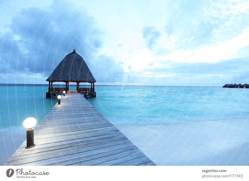 BLUE HOUR IN PARADISE Maldives Paradise Angaga Footbridge Blue India Ocean Horizon Evening Vacation & Travel Tourism Relaxation Beach Sand Surf Ari Atoll Dream