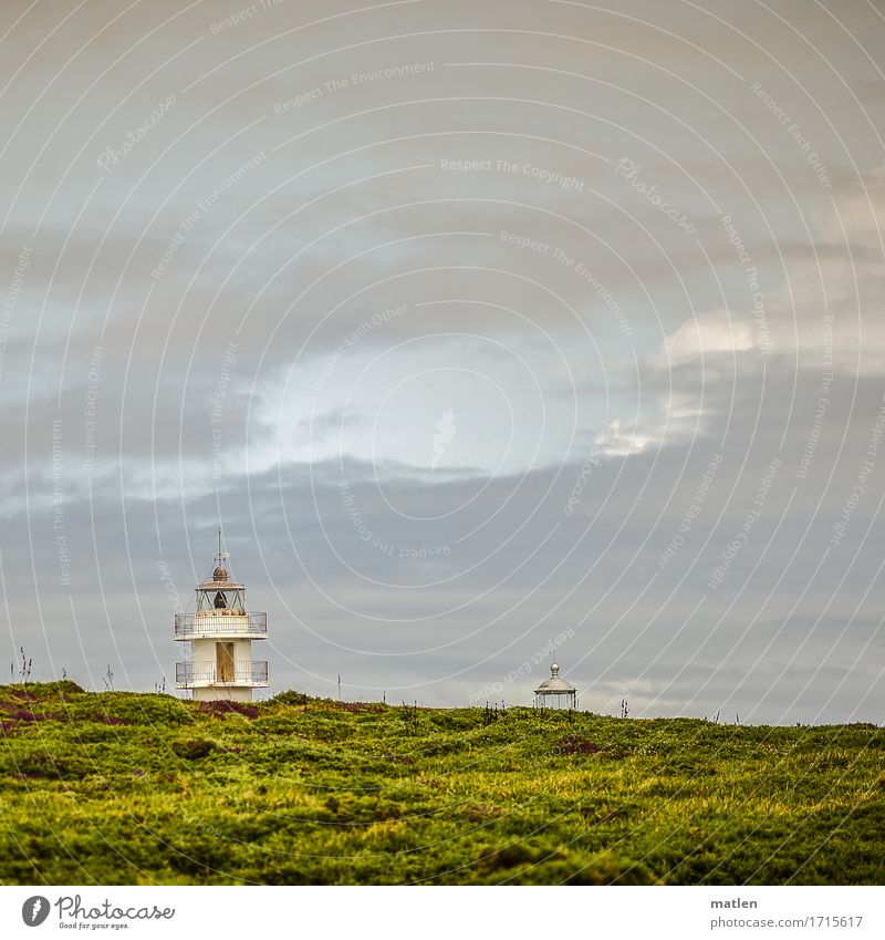 doubles Nature Landscape Plant Sky Clouds Summer Beautiful weather Grass Bushes Moss Coast Ocean Lighthouse Blue Brown Yellow Green Pink White Heathland 2