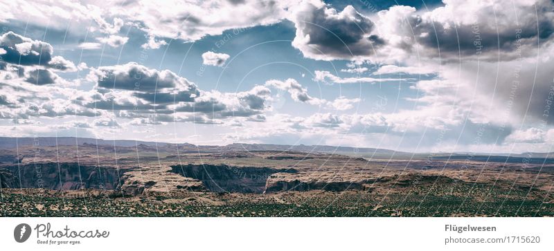 Beautiful America (m) Sky Clouds Day Shadow Mountain Grand Canyon Americas USA Landscape Plant Animal Vantage point Far-off places Deserted Bushes