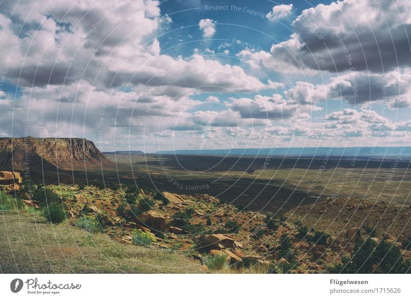 Beautiful America (a) Sky Clouds Day Shadow Mountain Grand Canyon Americas USA Landscape Plant Animal Vantage point Far-off places Deserted Bushes