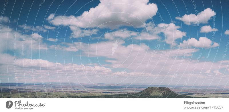 Beautiful America (e) Sky Clouds Day Shadow Mountain Grand Canyon Americas USA Landscape Plant Animal Vantage point Far-off places Deserted Bushes