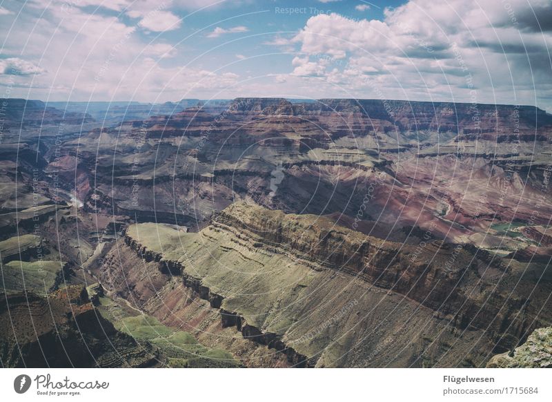 Beautiful America (p) Sky Clouds Day Shadow Mountain Grand Canyon Americas USA Landscape Plant Animal Vantage point Far-off places Deserted Bushes