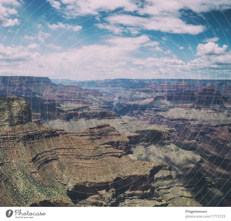 Beautiful America (r) Sky Clouds Day Shadow Mountain Grand Canyon Americas USA Landscape Plant Animal Vantage point Far-off places Deserted Bushes