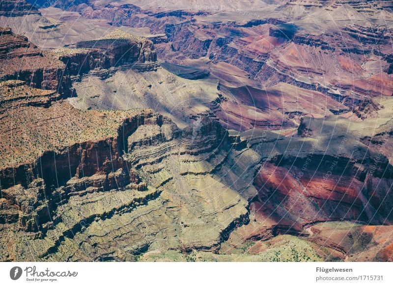 Beautiful America (s) Sky Clouds Day Shadow Mountain Grand Canyon Americas USA Landscape Plant Animal Vantage point Far-off places Deserted Bushes