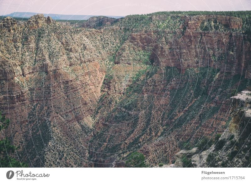 Beautiful America (t) Sky Clouds Day Shadow Mountain Grand Canyon Americas USA Landscape Plant Animal Vantage point Far-off places Deserted Bushes