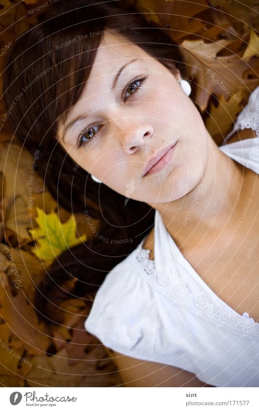 leave on Colour photo Exterior shot Close-up Day Portrait photograph Looking Looking into the camera Human being Feminine Young woman Youth (Young adults) 1