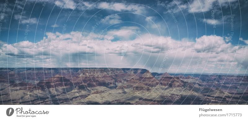 Beautiful America (f) Sky Clouds Day Shadow Mountain Grand Canyon Americas USA Landscape Plant Animal Vantage point Far-off places Deserted Bushes