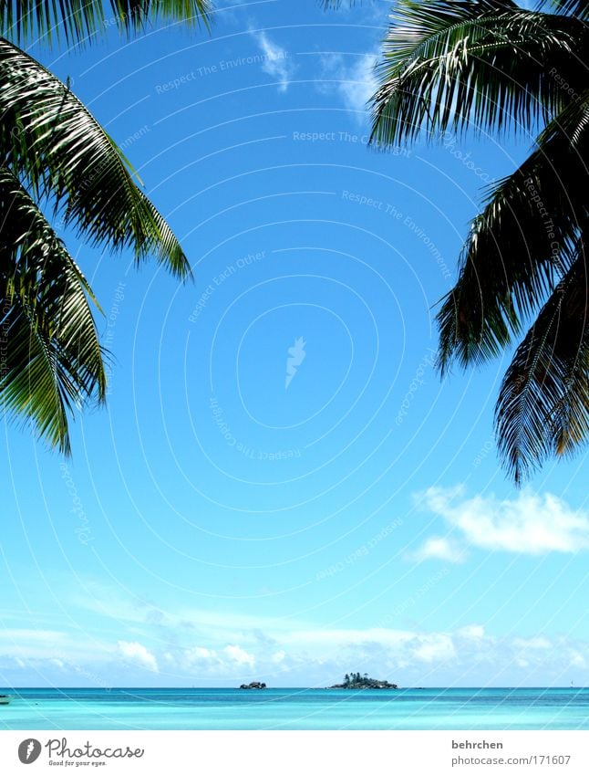 for my angel Vacation & Travel Tourism Adventure Far-off places Freedom Sky Clouds Beautiful weather Waves Coast Ocean Indian Ocean Island Seychelles La Digue