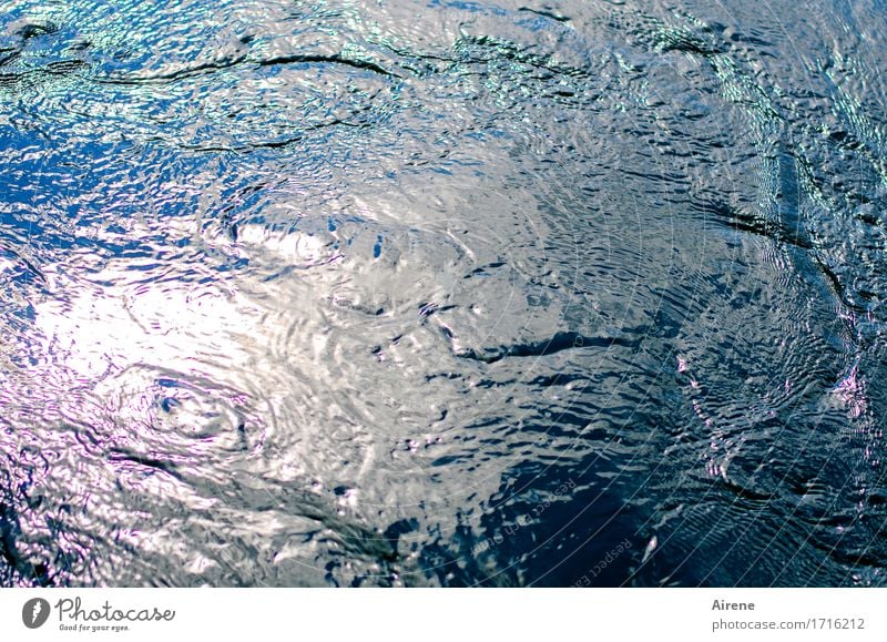 well ness III Elements Water Summer Beautiful weather Waves Exceptional Fluid Creepy Maritime Wet Natural Blue Multicoloured Pink White Colour photo