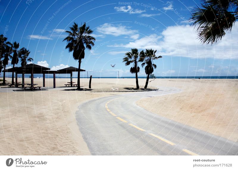 highway to heaven Environment Nature Landscape Water Sky Summer Beautiful weather Tree Coast Beach Port City Bird Pigeon Sand Relaxation To enjoy Dream Exotic