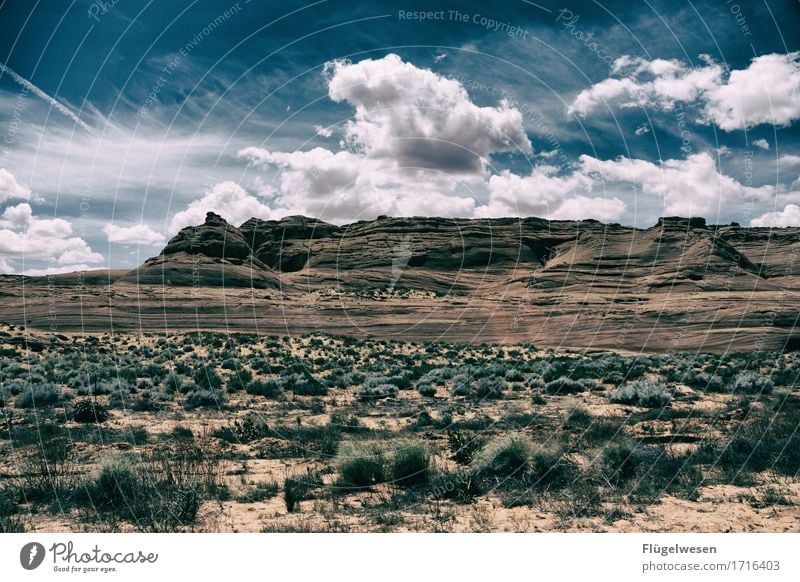 Beautiful America (j) Sky Clouds Day Shadow Mountain Grand Canyon Americas USA Landscape Plant Animal Vantage point Far-off places Deserted Bushes