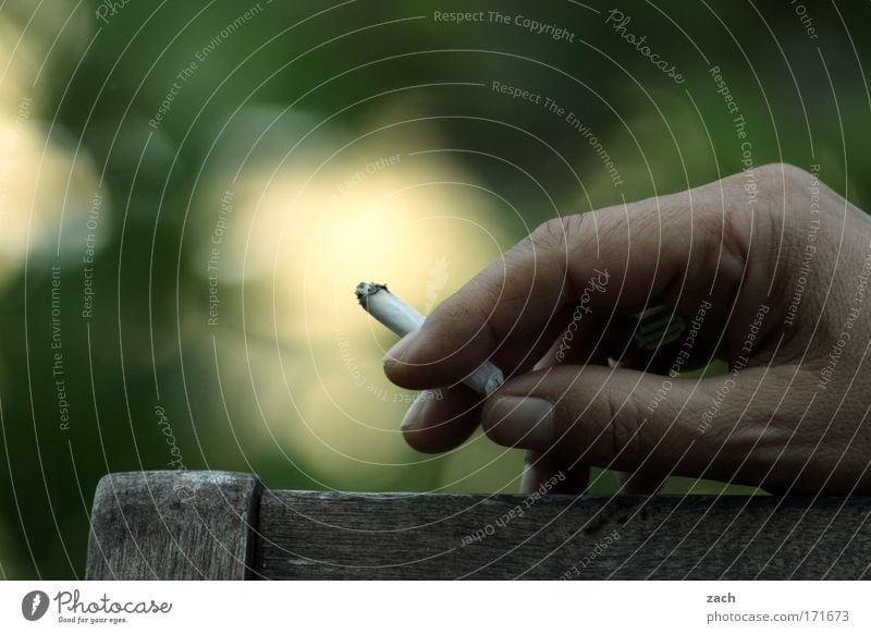 smoker's hand Colour photo Subdued colour Exterior shot Copy Space top Day Shallow depth of field Central perspective Skin Illness Smoking Relaxation Garden