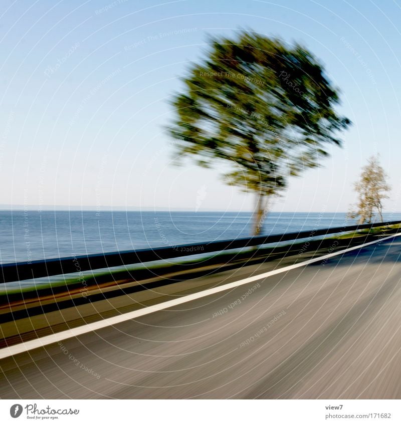 The trees, they're driving! Colour photo Multicoloured Exterior shot Deserted Copy Space left Shadow Contrast Sunlight Blur Shallow depth of field