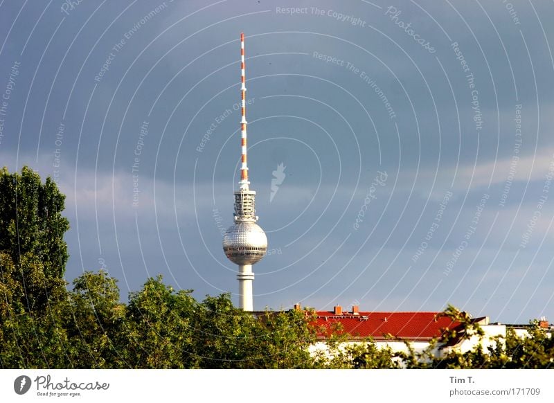 doughnut Colour photo Exterior shot Deserted Copy Space top Day Light (Natural Phenomenon) Sunlight Far-off places Sightseeing City trip Summer Flat (apartment)