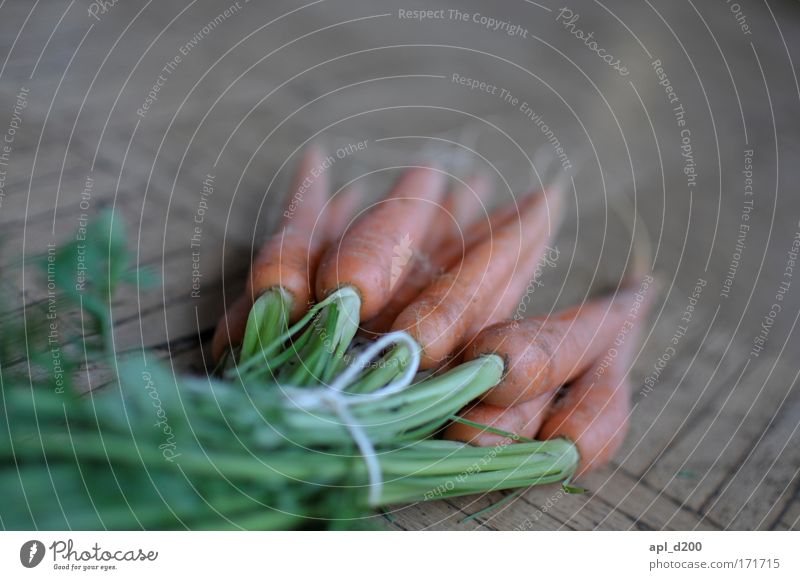 Magiuhana is not good Colour photo Interior shot Detail Deserted Copy Space top Day Shallow depth of field Food Carrot Nutrition Plant Foliage plant