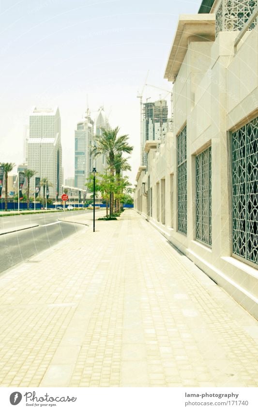 Sunshine Boulevard Colour photo Exterior shot Deserted Copy Space bottom Day Light Sunlight Central perspective Exotic Palm tree Dubai Downtown