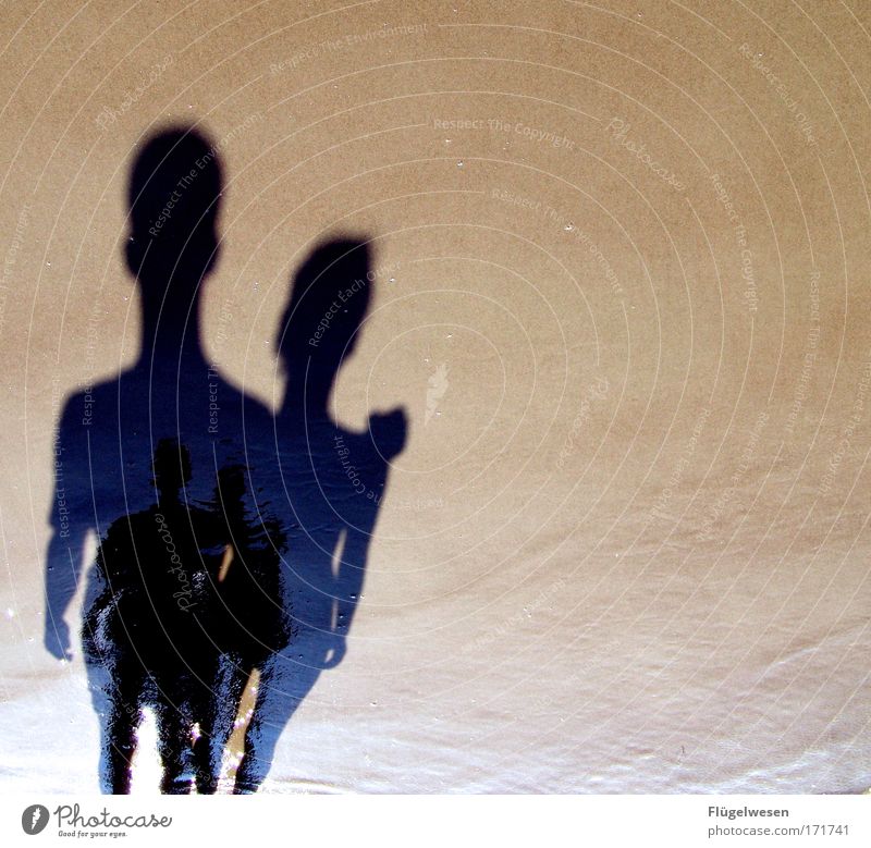 The shadow couple Colour photo Exterior shot Reflection Summer Coast Lakeside River bank Beach Sand Water Observe Together To enjoy Love Embrace Friendliness