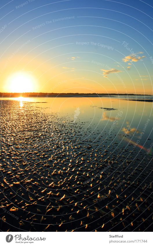 wanderlust Colour photo Exterior shot Evening Light Shadow Contrast Reflection Sunlight Deep depth of field Central perspective Nature Landscape Earth Sand