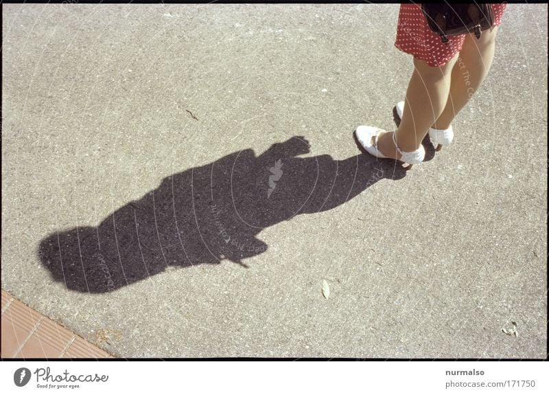 white on red in shadow play Colour photo Copy Space right Copy Space bottom Bird's-eye view Lifestyle Style Beautiful Feasts & Celebrations Human being Feminine