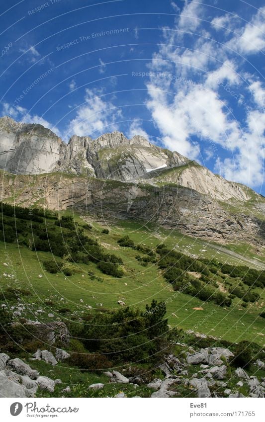 Cloud's in the Alps Colour photo Exterior shot Deserted Day Shadow Contrast Sunbeam Trip Far-off places Freedom Nature Landscape Plant Animal Elements Sky