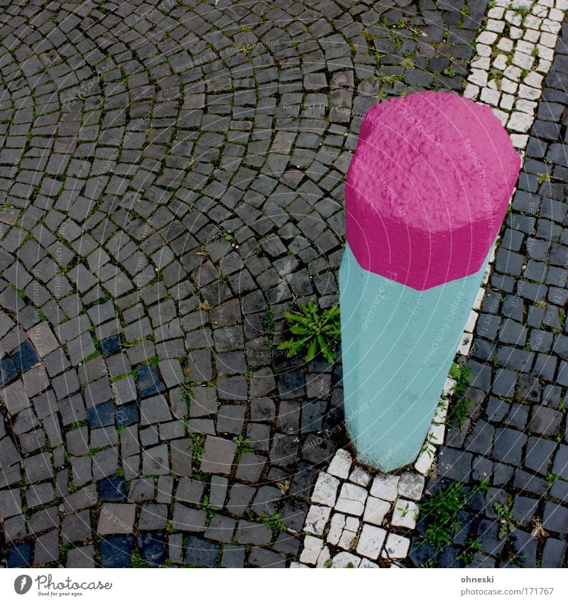 match Colour photo Multicoloured Deserted Copy Space left Copy Space top Bird's-eye view Street Stone Pink Match Line Cobblestones Dandelion White Column