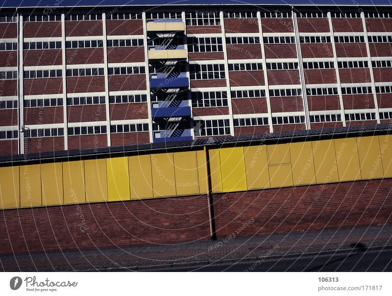 Photo number 125108 Colour photo Multicoloured Exterior shot Deserted Morning Day Shadow Contrast Sunlight Sunbeam Deep depth of field Worm's-eye view Upward