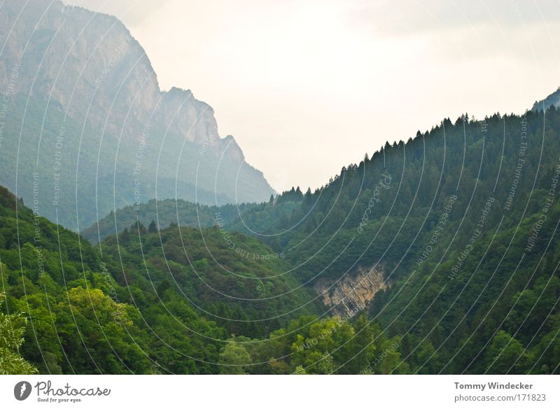 homesick Panorama (View) Vacation & Travel Tourism Mountain Climbing Mountaineering Nature Landscape Summer Tree Forest Hill Rock Threat Relaxation