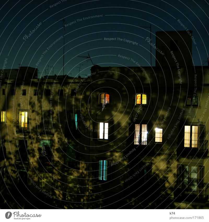 COURTYARD AT NIGHT Colour photo Exterior shot Night Old town House (Residential Structure) Facade Window Antenna Flying Looking Sleep Dream Shadow Tree Light