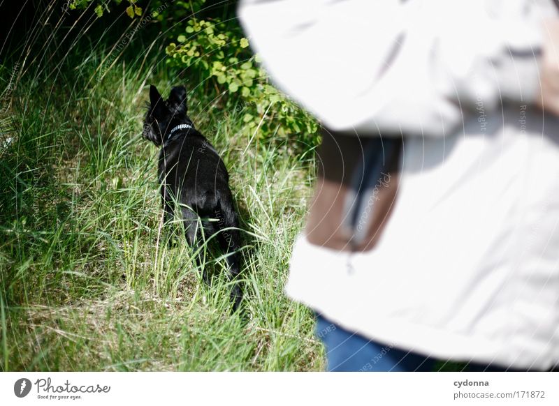 inquisitiveness Colour photo Exterior shot Close-up Detail Copy Space right Copy Space bottom Morning Day Shadow Contrast Sunlight Shallow depth of field