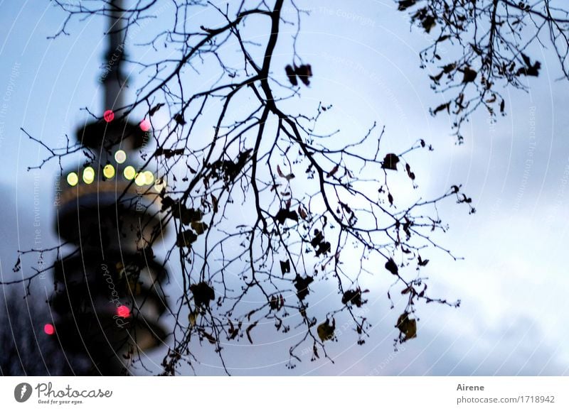 The tower Autumn Tree Twig Munich Olympic Park Olympic Tower Tourist Attraction Landmark Point Point of light Light Illuminate Dark Town Blue Yellow Red Black