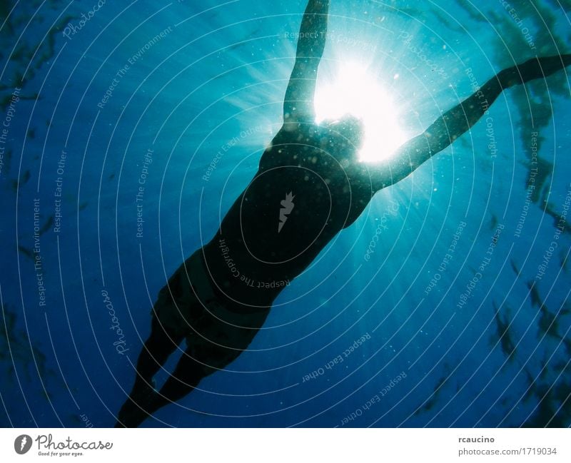 Man swimming in the sea with sunbeams shining through Swimming & Bathing Ocean Water Sun Sunbeam Underwater photo Blue Colour photo