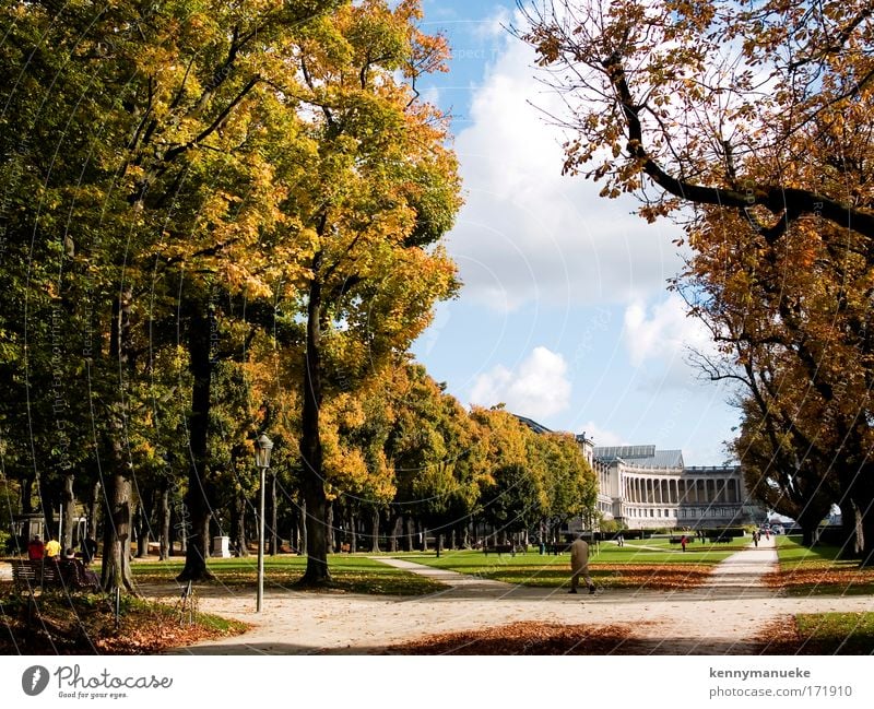 Jubel Park Colour photo Exterior shot Central perspective Panorama (View) Wide angle Landscape Summer Beautiful weather Tree Garden Brussels Belgium Europe