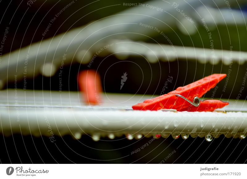 Dryer, wet Colour photo Exterior shot Day Wet Red Holder Clothes peg Tumble dryer Drops of water Rain Housekeeping