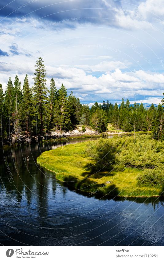 natural beauty Nature Landscape Sky Summer Beautiful weather Tree Forest River bank Esthetic Vacation & Travel Hiking Relaxation Shadow Evening Reflection