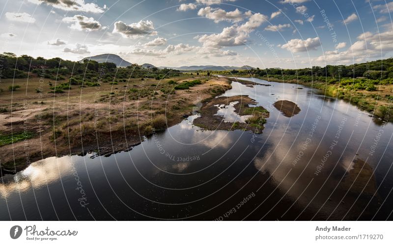 Crocodile River Nature Landscape Plant Water Sky Clouds Summer Warmth River bank Savannah Vacation & Travel Exotic Infinity Blue Brown South Africa