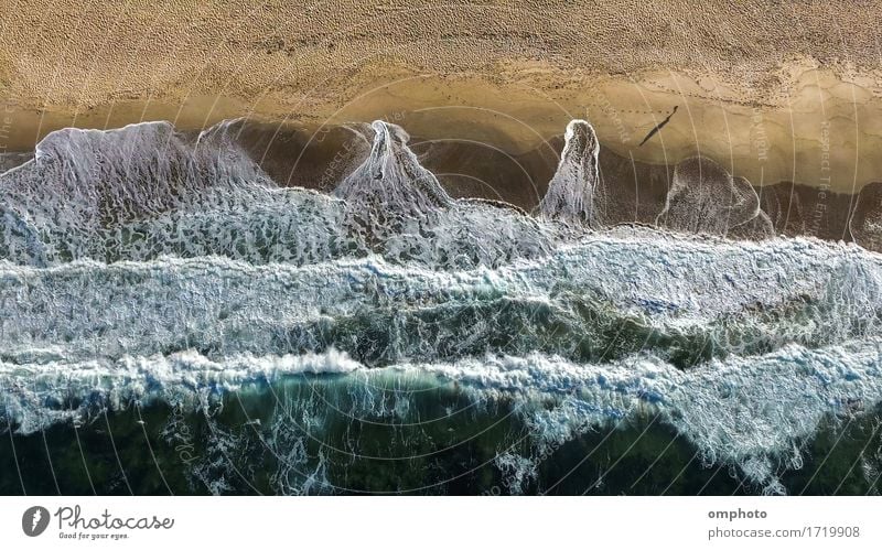 Aerial image of walking man on a beach with crushing waves Leisure and hobbies Vacation & Travel Summer Beach Ocean Waves Human being Man Adults Nature